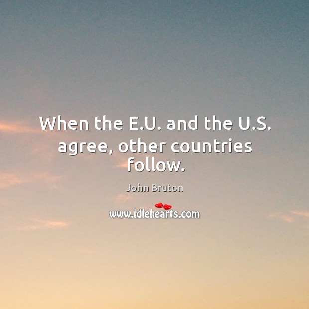 When the e.u. And the u.s. Agree, other countries follow. John Bruton Picture Quote