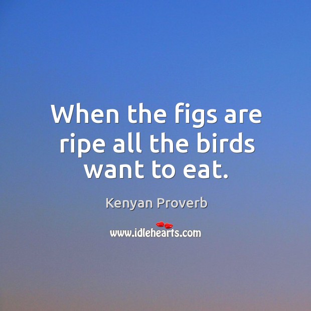 When the figs are ripe all the birds want to eat. Kenyan Proverbs Image