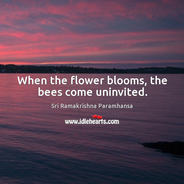 When the flower blooms, the bees come uninvited. Flowers Quotes Image
