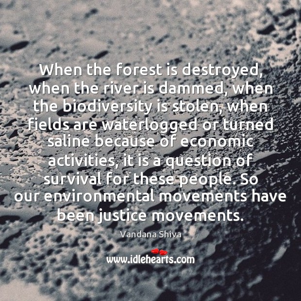 When the forest is destroyed, when the river is dammed, when the Vandana Shiva Picture Quote