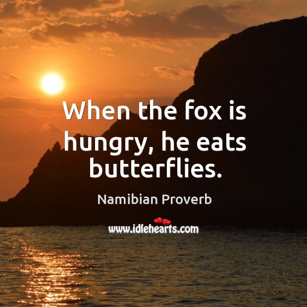 When the fox is hungry, he eats butterflies. Namibian Proverbs Image
