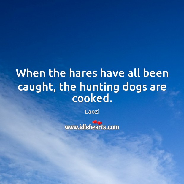 When the hares have all been caught, the hunting dogs are cooked. Laozi Picture Quote