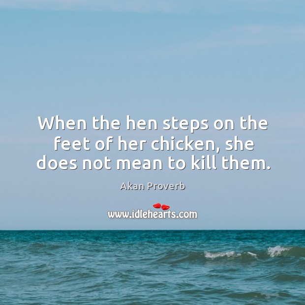 When the hen steps on the feet of her chicken, she does not mean to kill them. Akan Proverbs Image