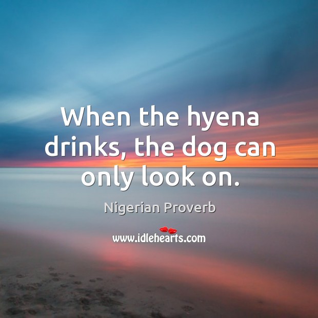 When the hyena drinks, the dog can only look on. Image
