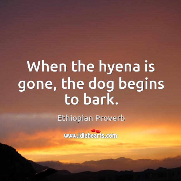 When the hyena is gone, the dog begins to bark. Ethiopian Proverbs Image