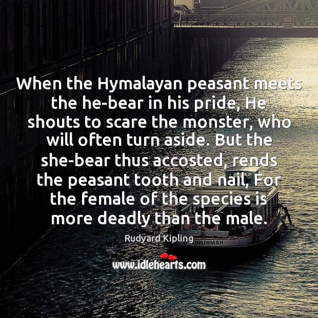 When the Hymalayan peasant meets the he-bear in his pride, He shouts Rudyard Kipling Picture Quote