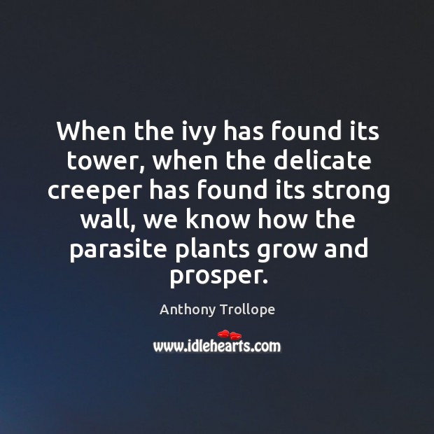 When the ivy has found its tower, when the delicate creeper has found its strong wall Anthony Trollope Picture Quote