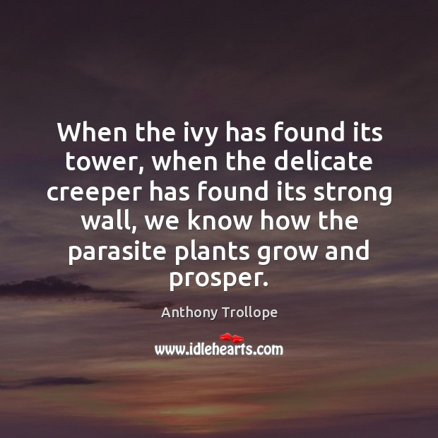 When the ivy has found its tower, when the delicate creeper has Anthony Trollope Picture Quote
