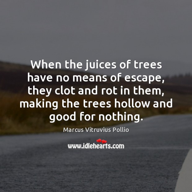 When the juices of trees have no means of escape, they clot Marcus Vitruvius Pollio Picture Quote