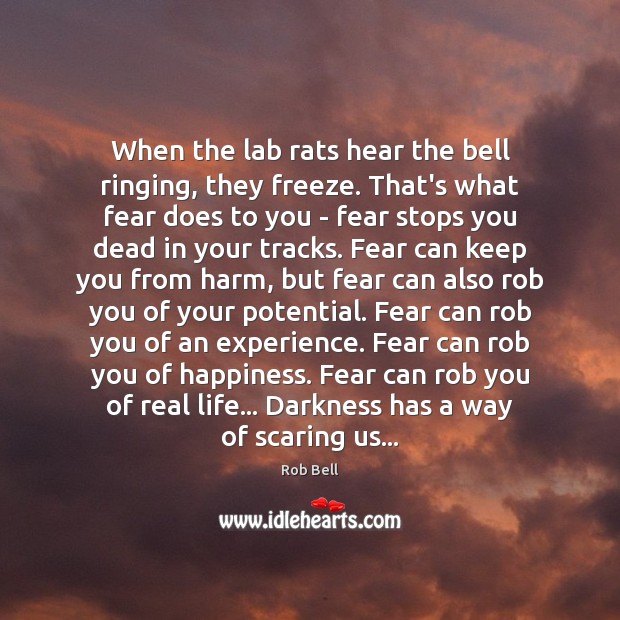 When the lab rats hear the bell ringing, they freeze. That’s what Rob Bell Picture Quote