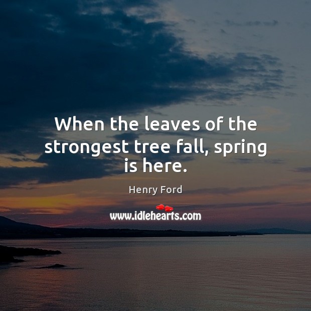 When the leaves of the strongest tree fall, spring is here. Image