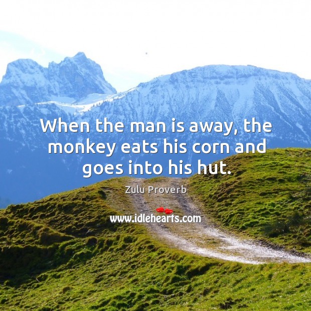 When the man is away, the monkey eats his corn and goes into his hut. Image