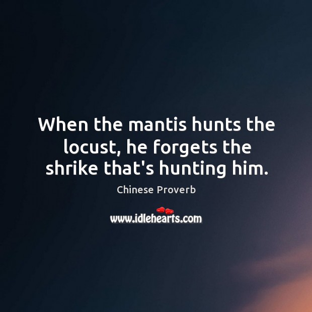 When the mantis hunts the locust, he forgets the shrike that’s hunting him. Image