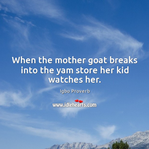 When the mother goat breaks into the yam store her kid watches her. Image