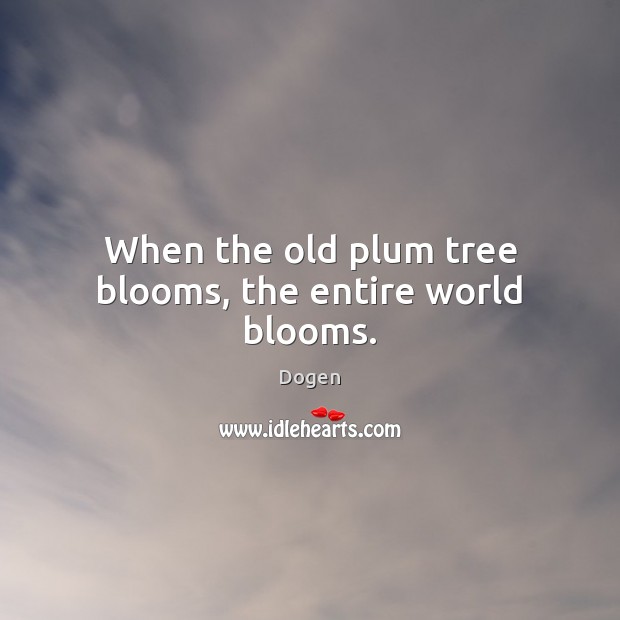 When the old plum tree blooms, the entire world blooms. Dogen Picture Quote