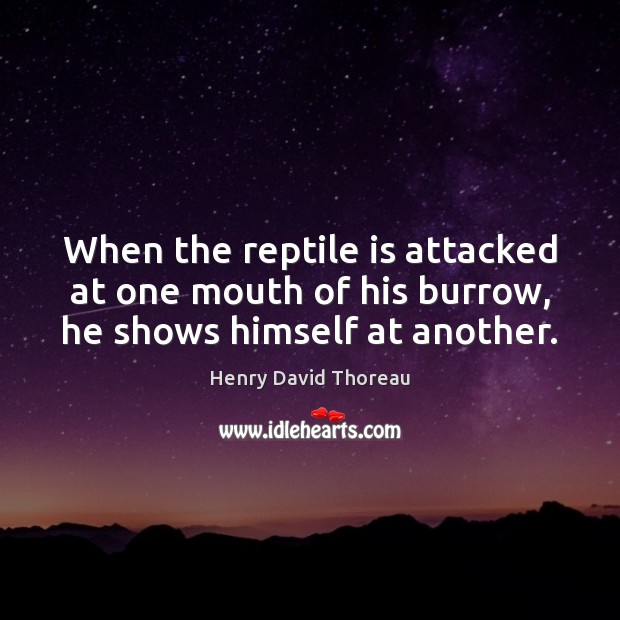 When the reptile is attacked at one mouth of his burrow, he shows himself at another. Image