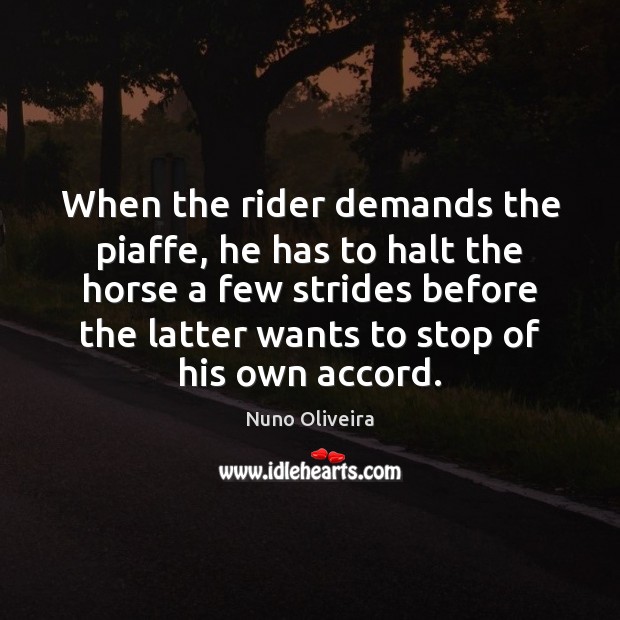 When the rider demands the piaffe, he has to halt the horse 