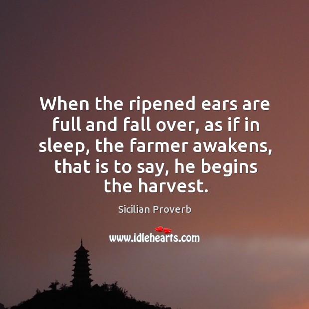 When the ripened ears are full and fall over, as if in sleep Image