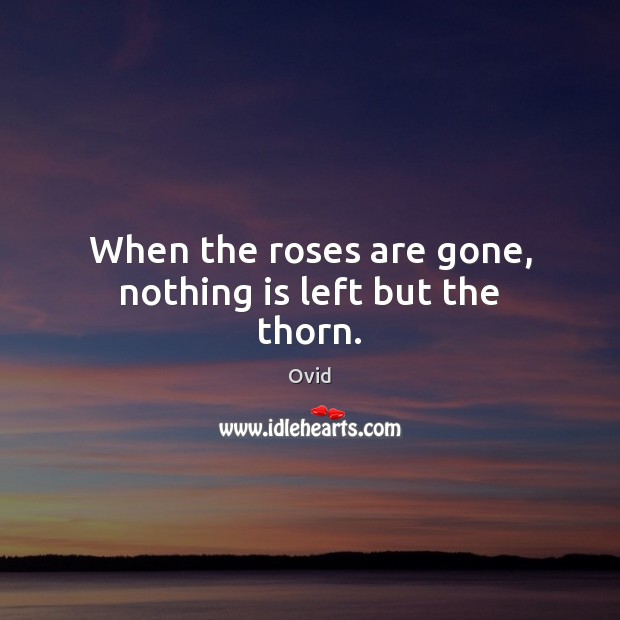 When the roses are gone, nothing is left but the thorn. Ovid Picture Quote