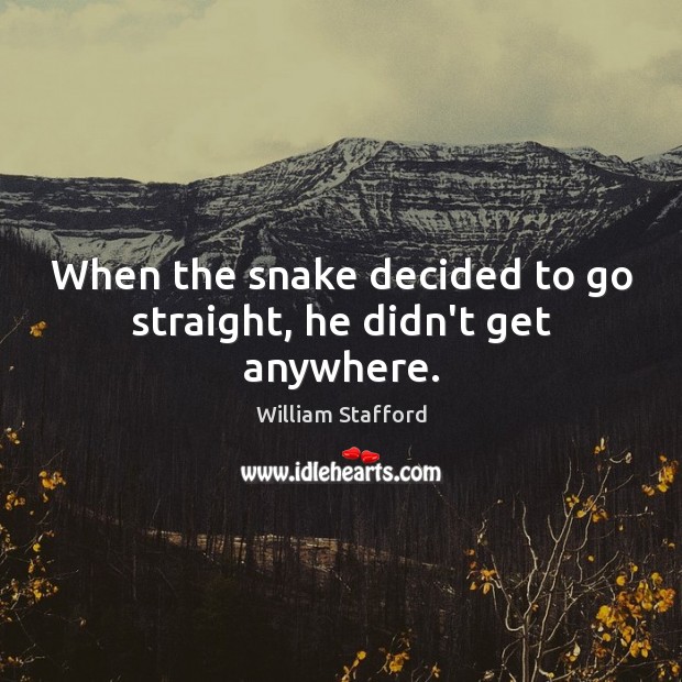 When the snake decided to go straight, he didn’t get anywhere. William Stafford Picture Quote