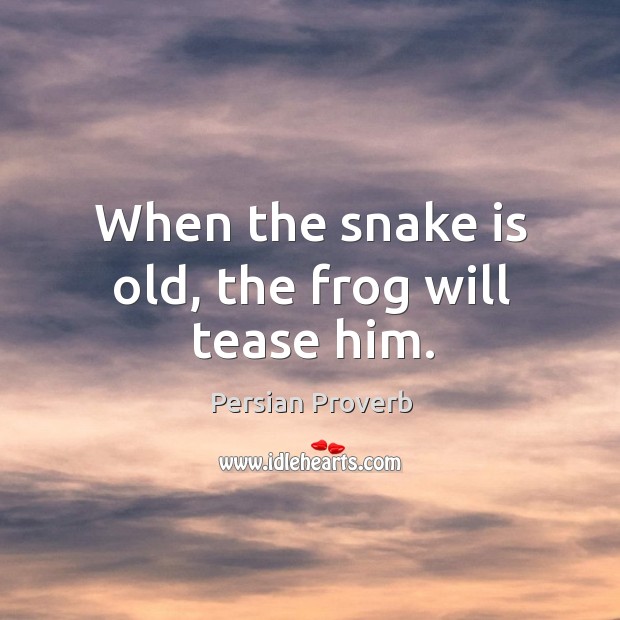 When the snake is old, the frog will tease him. Persian Proverbs Image