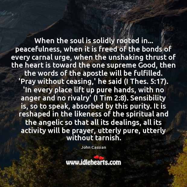 When the soul is solidly rooted in… peacefulness, when it is freed John Cassian Picture Quote