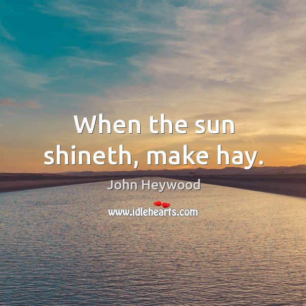 When the sun shineth, make hay. John Heywood Picture Quote