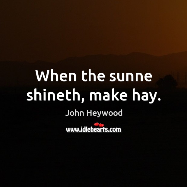 When the sunne shineth, make hay. Image
