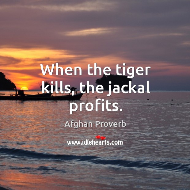 When the tiger kills, the jackal profits. Afghan Proverbs Image
