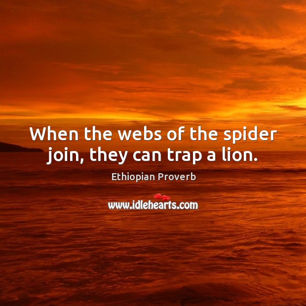 When the webs of the spider join, they can trap a lion. Ethiopian Proverbs Image