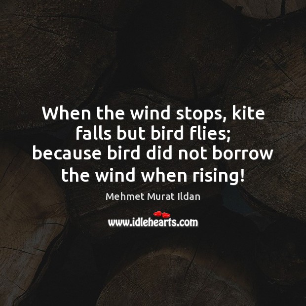 When the wind stops, kite falls but bird flies; because bird did Image