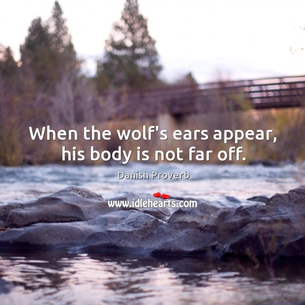 When the wolf’s ears appear, his body is not far off. Image