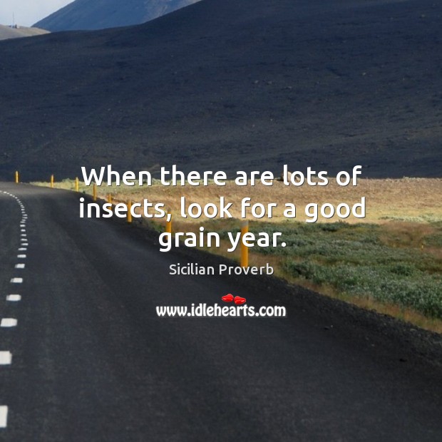 When there are lots of insects, look for a good grain year. Sicilian Proverbs Image