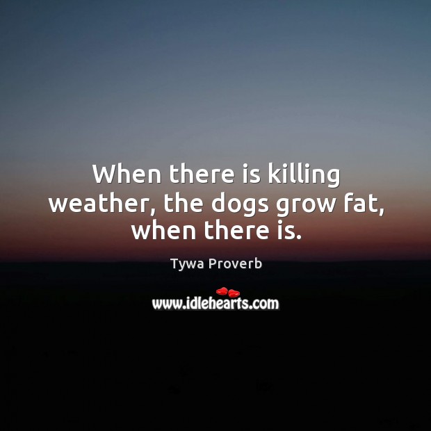 When there is killing weather, the dogs grow fat, when there is. Tywa Proverbs Image