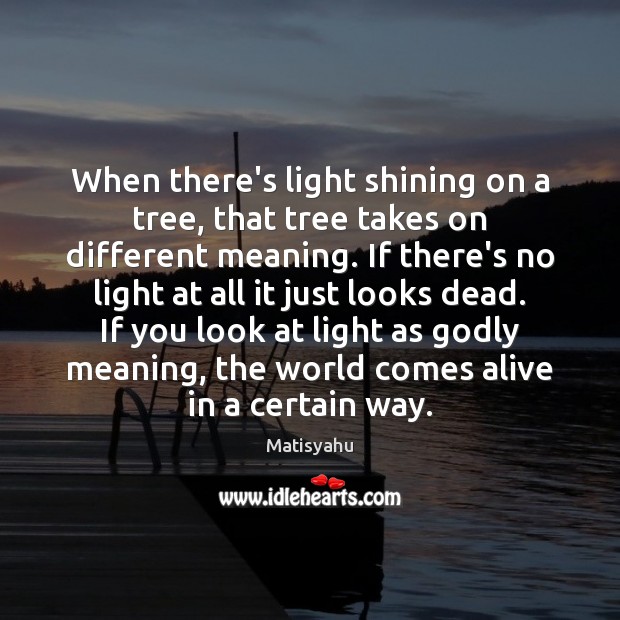 When there’s light shining on a tree, that tree takes on different Image