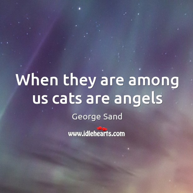 When they are among us cats are angels George Sand Picture Quote