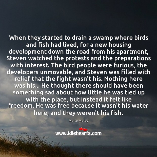 When they started to drain a swamp where birds and fish had Maile Meloy Picture Quote
