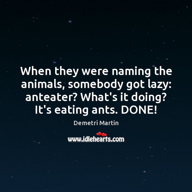 When they were naming the animals, somebody got lazy: anteater? What’s it Demetri Martin Picture Quote