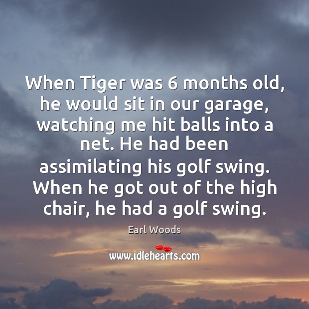 When Tiger was 6 months old, he would sit in our garage, watching Image