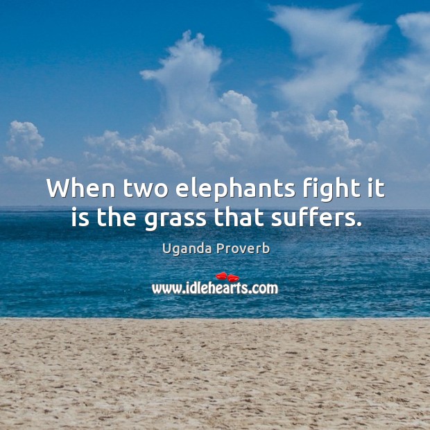 When two elephants fight it is the grass that suffers. Image