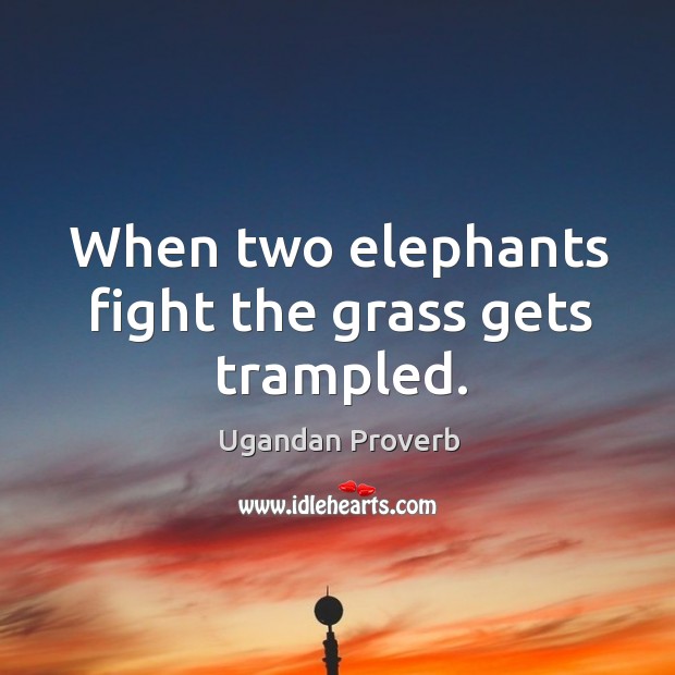 When two elephants fight the grass gets trampled. Ugandan Proverbs Image