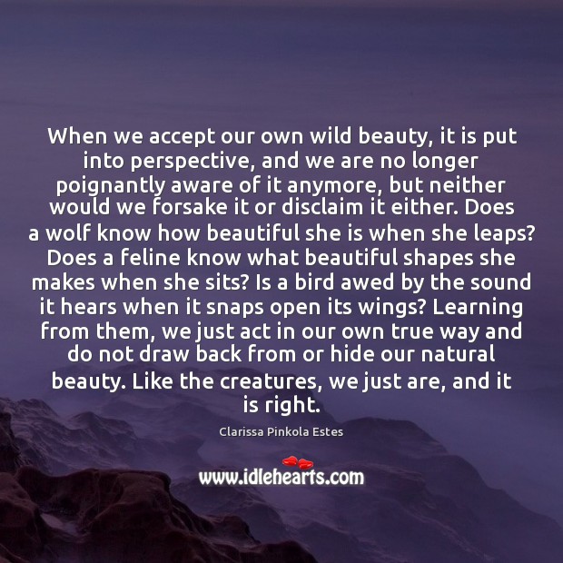 When we accept our own wild beauty, it is put into perspective, Clarissa Pinkola Estes Picture Quote