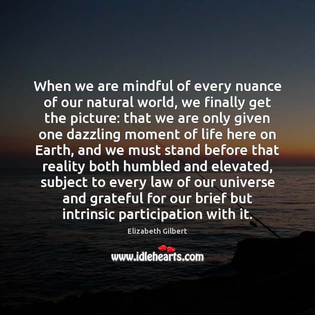 When we are mindful of every nuance of our natural world, we Elizabeth Gilbert Picture Quote