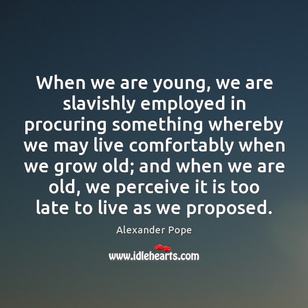 When we are young, we are slavishly employed in procuring something whereby Alexander Pope Picture Quote