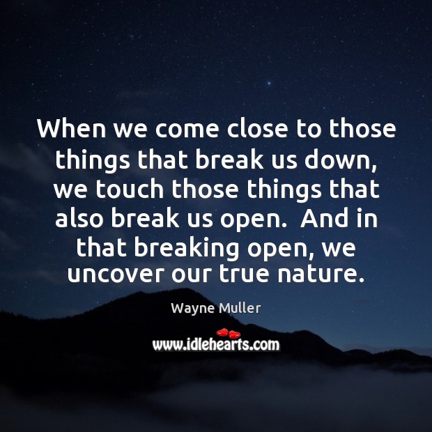 When we come close to those things that break us down, we Wayne Muller Picture Quote