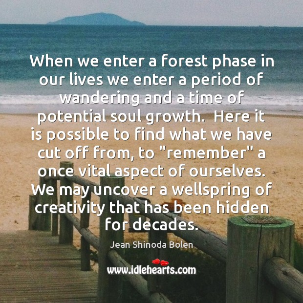 When we enter a forest phase in our lives we enter a Jean Shinoda Bolen Picture Quote
