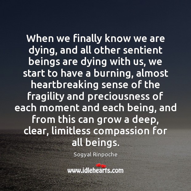 When we finally know we are dying, and all other sentient beings Sogyal Rinpoche Picture Quote