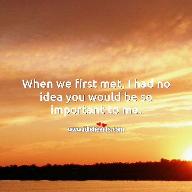 When we first met, I had no idea you would be so important to me. Image