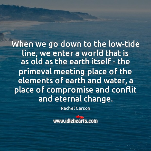 When we go down to the low-tide line, we enter a world Rachel Carson Picture Quote