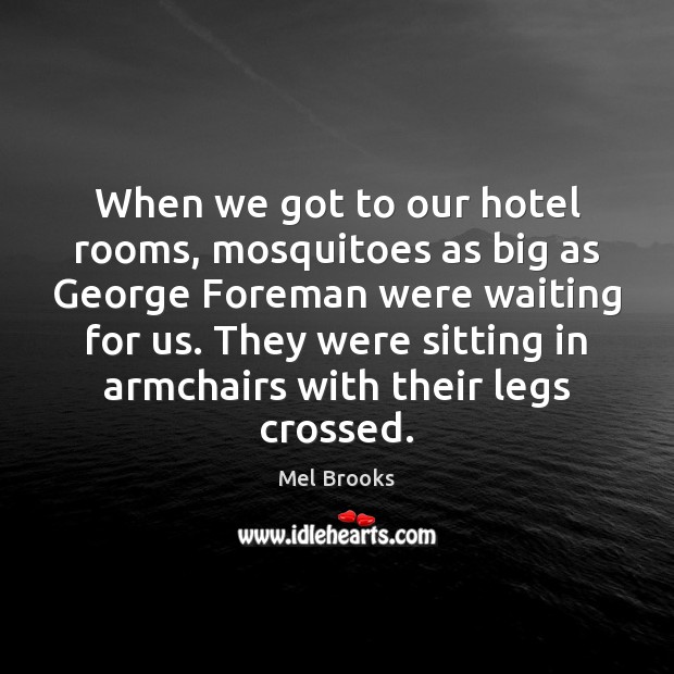 When we got to our hotel rooms, mosquitoes as big as George Mel Brooks Picture Quote